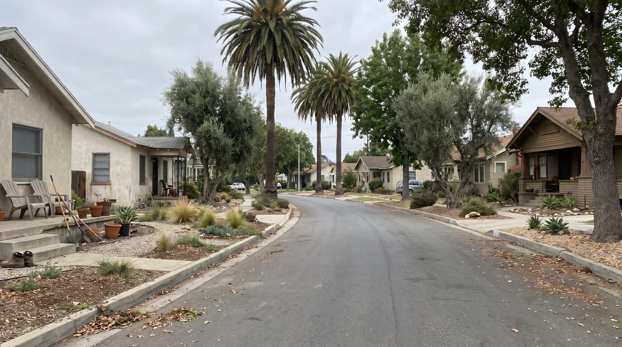 Curving residential street lined with stucco and craftsman homes, palms and olive trees