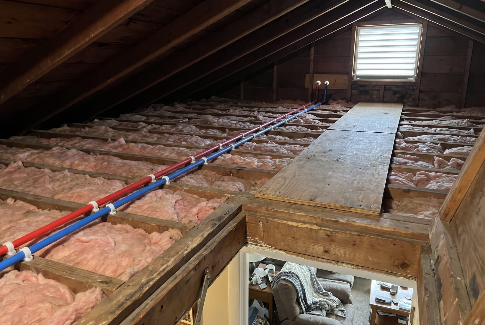 Red and blue PEX water lines running across the ceiling joists of an attic above pink insulation
